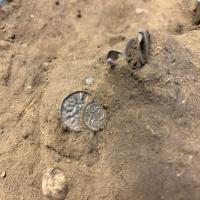 Danemark - Pièces en argent dans un champ à Bramslev qui appartiennent à deux trésors de la fin du règne d'Harald à la Dent bleue - Photo: Musées du Jutland du Nord