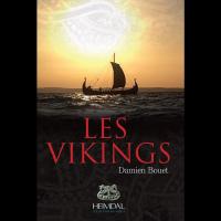 Les Vikings - Damien BOUET