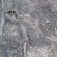 Découverte en Suède de deux squelettes de l'Âge Viking décapités - Photo: Västergötland Museum