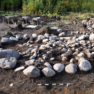 Suède - La tombe d'une défunte reposant sur un lit d'iris des marais à Bådstorp - Photo: Arkeologerna