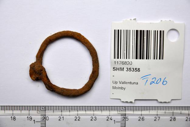 Un des anneaux à amulettes découvert à Molnby qui pourrait faire l'objet d'un recyclage - Photo: Statens Historiska Museer