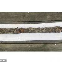 Suède -  Une épée de plus de 1000 ans découverte dans un lac par une fillette de 8 ans - Photo: Jönköpings läns Museum