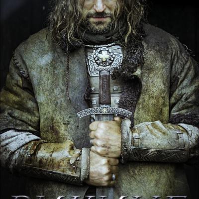 Viking poster